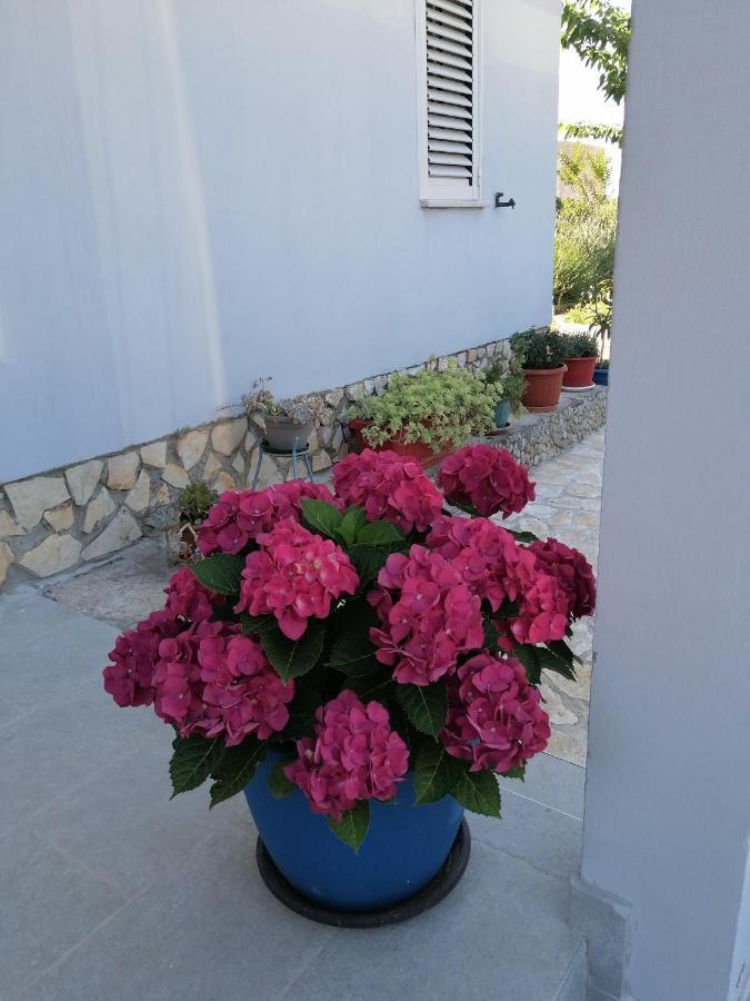 Apartman Antonija พูลา ภายนอก รูปภาพ